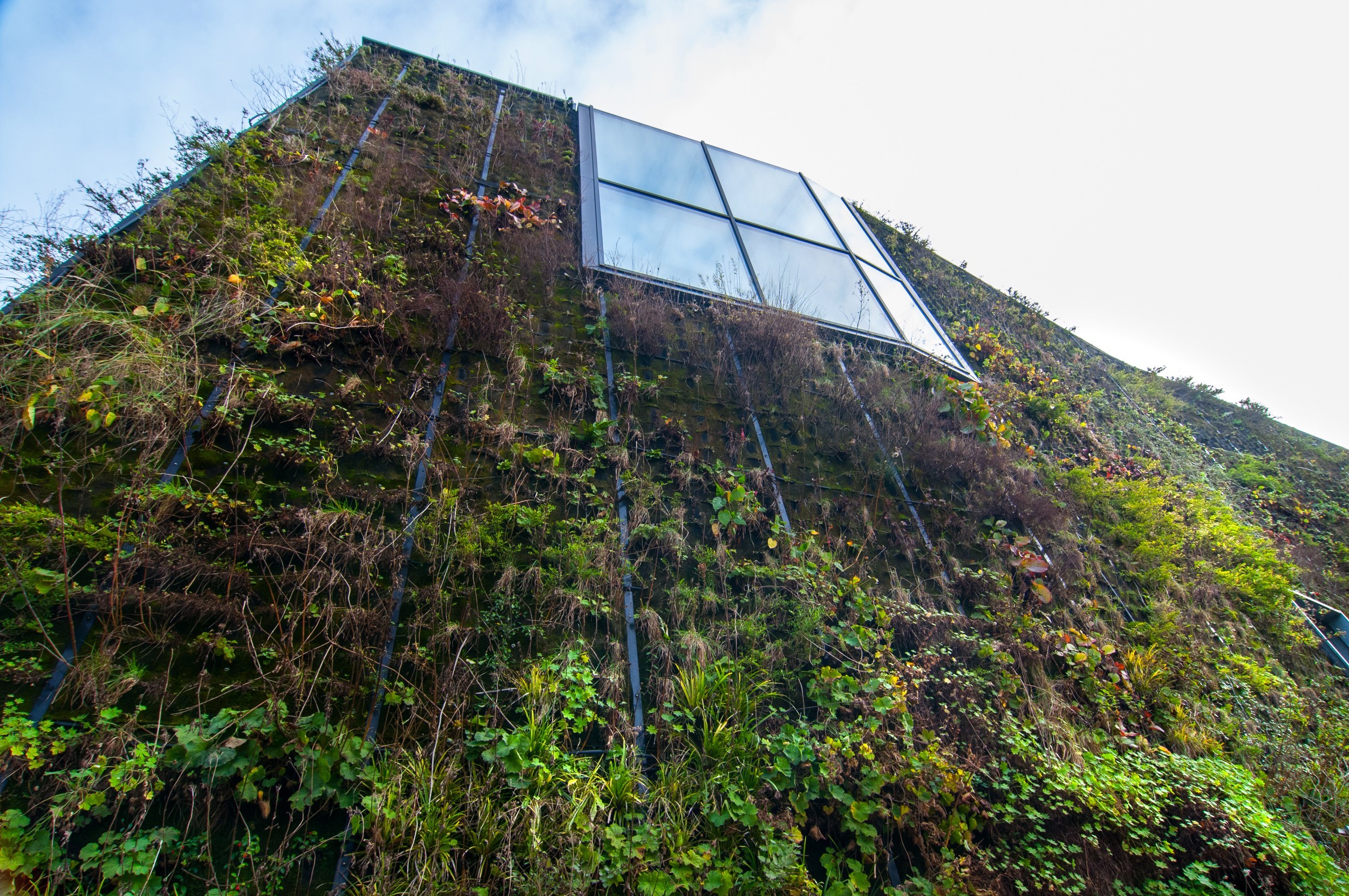 Groene gevel Mercator bad Groene gevel Mercator bad