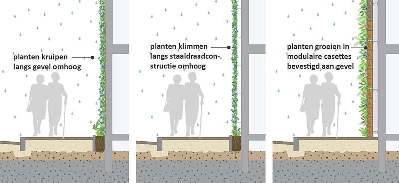 Groene gevel Groene gevel